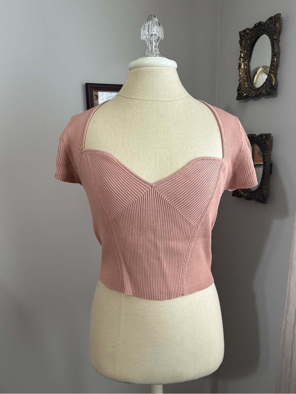 ASTR the Label Dusty Rose Ribbed Sweetheart Crop Top